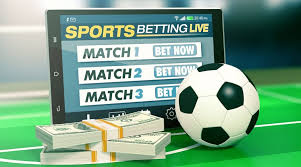 The Rising Star of Online Betting 8qbet