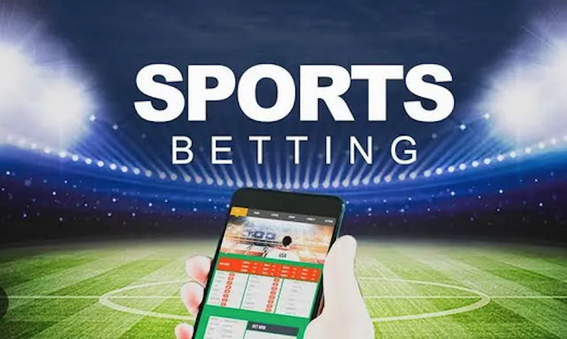 The Ultimate Guide to Cricza Bet Your Path to Smart Betting